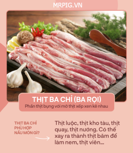 thit-ba-chi-mrpig